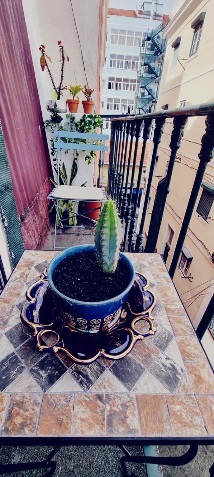 Charming Central Apartment To Rent Lisboa Екстериор снимка