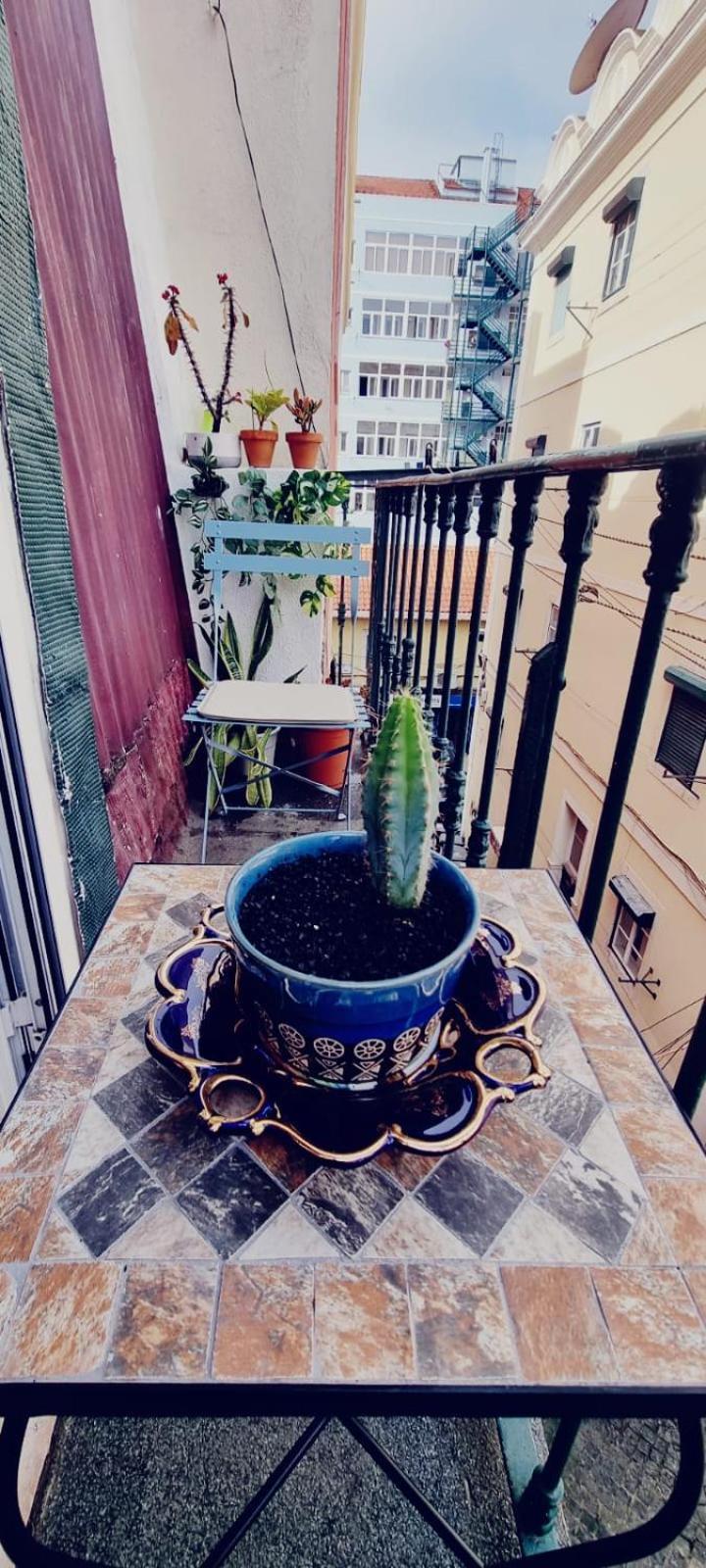 Charming Central Apartment To Rent Lisboa Екстериор снимка